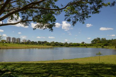 Goiania şehrinde çok ormanlık bir park ve bir göl manzarası. Leolidio di Ramos Caiado Parkı.