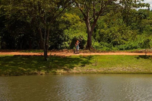 Goiania Şehrinde Çok Ormanlık Bir Park Bir Göl Manzarası Leolidio — Stok fotoğraf