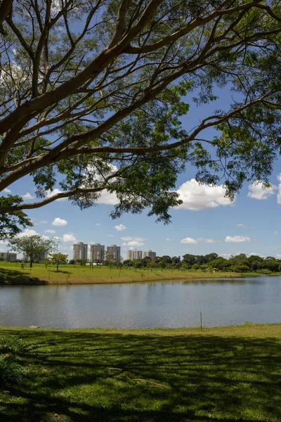 Goiania şehrinde çok ormanlık bir park ve bir göl manzarası. Leolidio di Ramos Caiado Parkı.