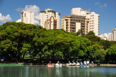 Goiania şehrinde halka açık bir parktaki göl manzarası. Gül Gölü. Ailelerin dinlenip piknik yaptığı yer..