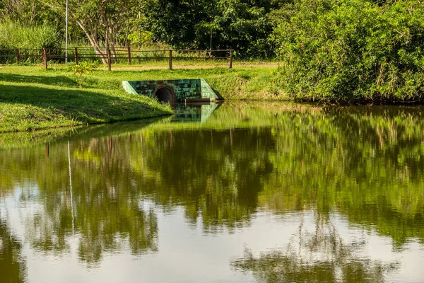 Goinia Şehrinde Çok Ormanlık Bir Park Bir Göl Manzarası Leolidio — Stok fotoğraf