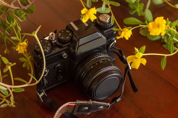 Eine Alte Fotokamera Zwischen Bunten Blumen Auf Einem Holztisch — Stockfoto