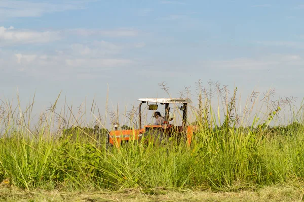 Ein Traktor Der Mitten Gras Arbeitet Mit Dem Himmel Hintergrund — Stockfoto