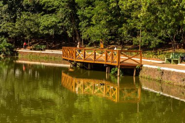 Goiania şehrindeki Bosque dos Buritis 'deki küçük göl üzerinde güverte.
