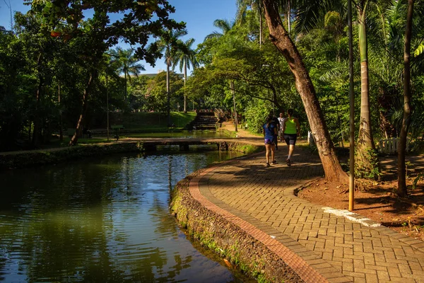 Una Vista Del Bosque Dos Buritis Ciudad Goiania Parque Público —  Fotos de Stock