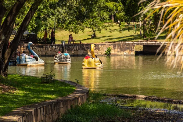 Detail Lake Roses Pedal Boats People Have Fun Lago Das — стоковое фото