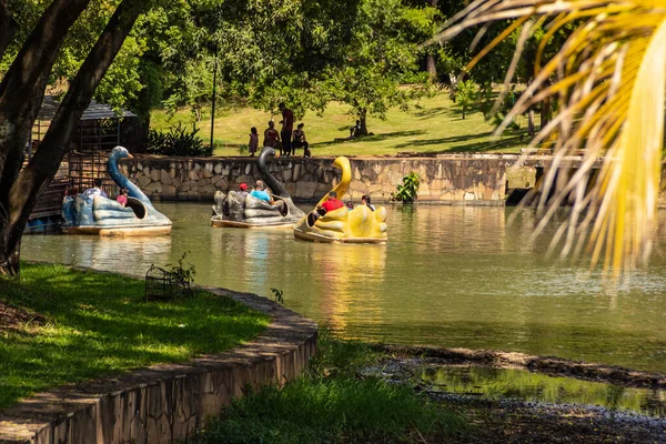 Detail Lake Roses Pedal Boats People Have Fun Lago Das — стоковое фото