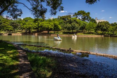 İnsanların eğlenmesi için pedallı teknelerle Güller Gölü 'nün detayları. Lago das Rosas Goias şehrindeki bir halk parkında yer almaktadır..