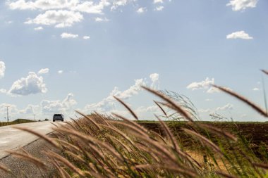 Asfalt ve kıyıları çimlerle kaplı bir otobanın ayrıntıları. Çimenli manzara ve bulutlu mavi gökyüzü.