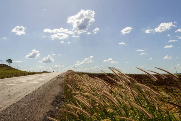 Asfalt ve kıyıları çimlerle kaplı bir otobanın ayrıntıları. Çimenli manzara ve bulutlu mavi gökyüzü.