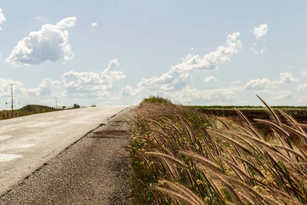Asfalt ve kıyıları çimlerle kaplı bir otobanın ayrıntıları. Çimenli manzara ve bulutlu mavi gökyüzü.