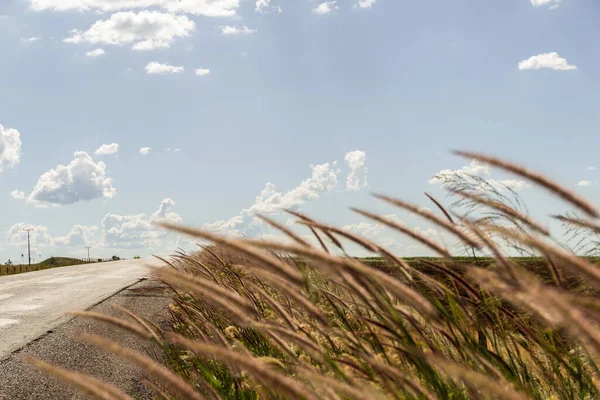 Asfalt ve kıyıları çimlerle kaplı bir otobanın ayrıntıları. Çimenli manzara ve bulutlu mavi gökyüzü.