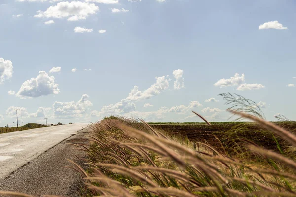 Asfalt ve kıyıları çimlerle kaplı bir otobanın ayrıntıları. Çimenli manzara ve bulutlu mavi gökyüzü.