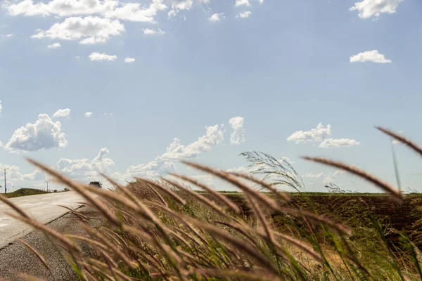 Asfalt ve kıyıları çimlerle kaplı bir otobanın ayrıntıları. Çimenli manzara ve bulutlu mavi gökyüzü.