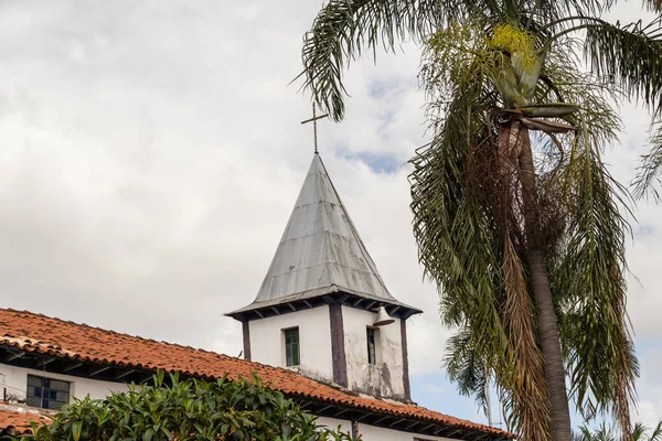 Detail Nossa Senhora Aparecida Sanctuary City Aparecida Goiania — 스톡 사진