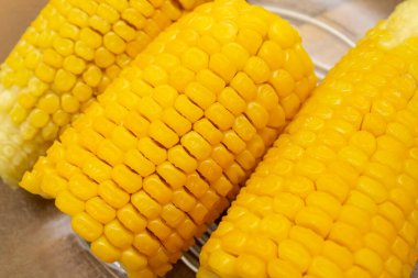 Koçanda bir porsiyon haşlanmış mısır, bir kasede..