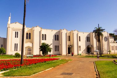 Campinas Bazilika Sığınağı. Gökyüzünün mavi olduğu güneşli bir günde Goinia şehrindeki Igreja Matriz de Campinas manzarası.