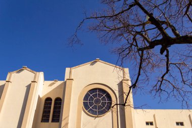Campinas Bazilika Sığınağı. Goiania şehrindeki Igreja Matriz de Campinas mimarisinin ayrıntıları, yaprakları olmayan kuru bir ağacın dalları.