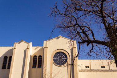 Campinas Bazilika Sığınağı. Goiania şehrindeki Igreja Matriz de Campinas mimarisinin ayrıntıları, yaprakları olmayan kuru bir ağacın dalları.