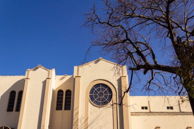 Campinas Bazilika Sığınağı. Goiania şehrindeki Igreja Matriz de Campinas mimarisinin ayrıntıları, yaprakları olmayan kuru bir ağacın dalları.