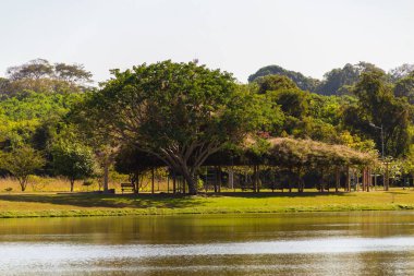 Goiania şehrindeki Leolidio di Ramos Caiado Park 'ın manzaralarından biri..