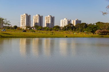 Goiania şehrindeki Leolidio di Ramos Caiado Park 'ın manzaralarından biri..