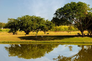 Goiania şehrindeki Leolidio di Ramos Caiado Park 'ın manzaralarından biri..