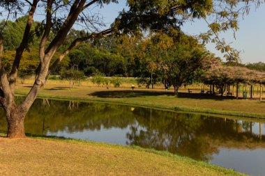 Goiania şehrindeki Leolidio di Ramos Caiado Park 'ın manzaralarından biri..