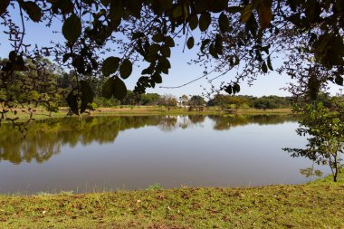  Manzara. Goiania şehrindeki Leolidio di Ramos Caiado Park 'ın manzaralarından biri..