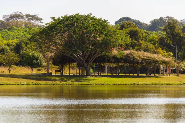 Τοπίο Μια Από Τις Απόψεις Του Leolidio Ramos Caiado Park — Φωτογραφία Αρχείου