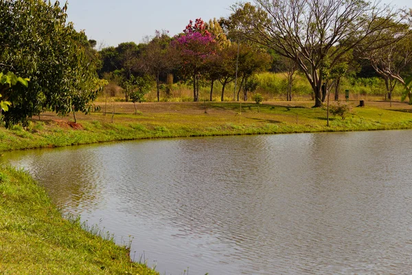 Landschaft Eine Der Ansichten Des Leolidio Ramos Caiado Parks Der — Stockfoto