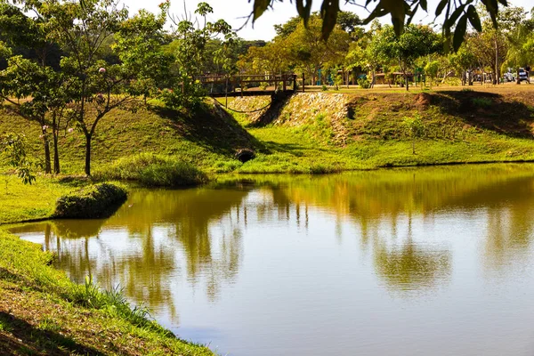 Eine Der Ansichten Des Leolidio Ramos Caiado Parks Der Stadt — Stockfoto