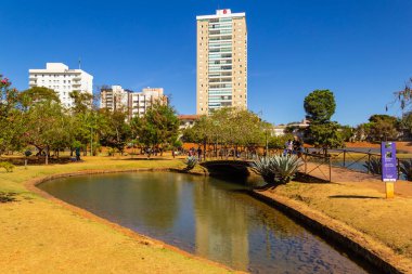 Anapolis 'teki Ipiranga Çevre Parkı manzarasının ayrıntıları.