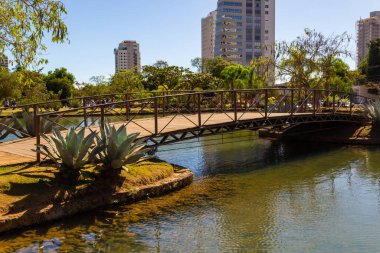 Anapolis 'teki Ipiranga Çevre Parkı manzarasının ayrıntıları.