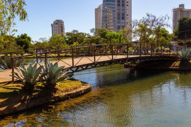 Anapolis 'teki Ipiranga Çevre Parkı manzarasının ayrıntıları.