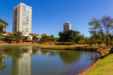 Anapolis 'teki Ipiranga Çevre Parkı manzarasının ayrıntıları.