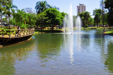 Anapolis 'teki Ipiranga Çevre Parkı manzarasının ayrıntıları.