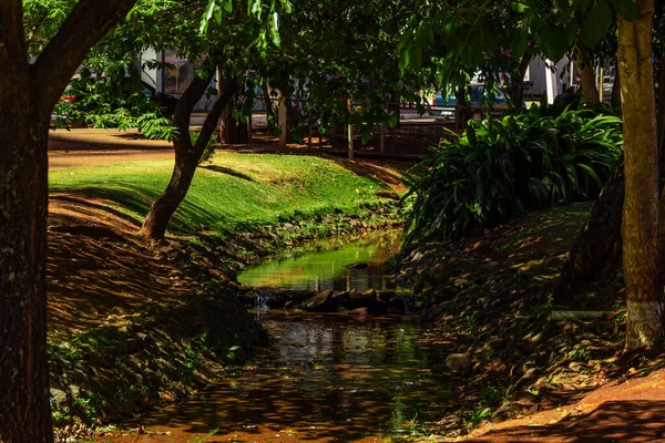 Detalle Una Vista Del Parque Ambiental Ipiranga Ciudad Anapolis —  Fotos de Stock