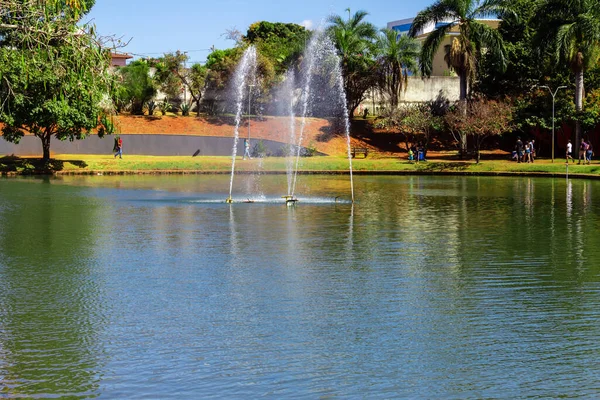 Detalle Una Vista Del Parque Ambiental Ipiranga Ciudad Anapolis — Foto de Stock