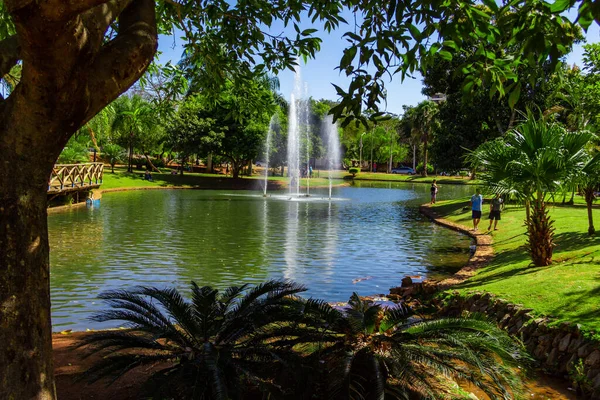 Detalle Una Vista Del Parque Ambiental Ipiranga Ciudad Anapolis — Foto de Stock