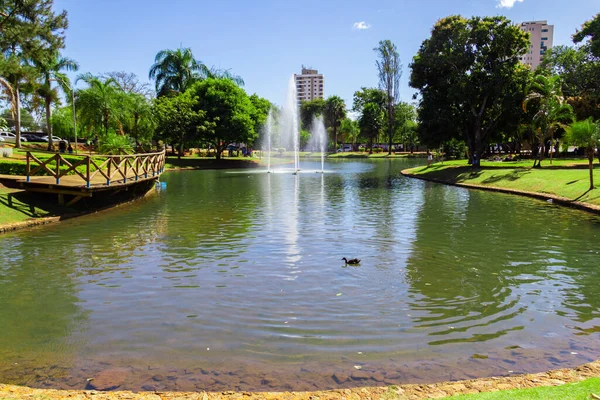 Detalle Una Vista Del Parque Ambiental Ipiranga Ciudad Anapolis — Foto de Stock