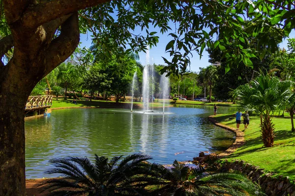 Detail View Ipiranga Environmental Park City Anapolis — Stockfoto