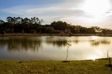 Öğleden sonra güneşiyle ve etrafındaki ağaçlarla aydınlatılmış bir göl manzarası. Goinia şehrindeki Leoldio di Ramos Caiado Parkı..