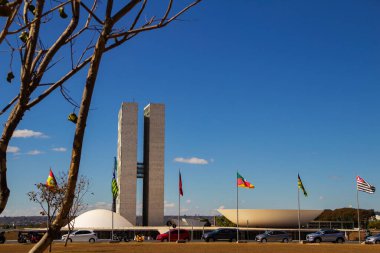Cityscape - detail of the National Congress in Brasilia among dry tree branches with blue sky in the background. Federal Capital of Brazil. It is an architectural work by Oscar Niemeyer.