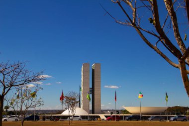 Cityscape - detail of the National Congress in Brasilia among dry tree branches with blue sky in the background. Federal Capital of Brazil. It is an architectural work by Oscar Niemeyer.
