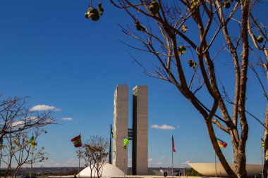 Cityscape - detail of the National Congress in Brasilia among dry tree branches with blue sky in the background. Federal Capital of Brazil. It is an architectural work by Oscar Niemeyer.