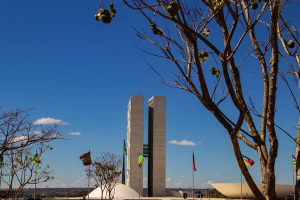 Stadsgezicht Detail Van Het Nationaal Congres Brasilia Tussen Droge Boomtakken — Stockfoto