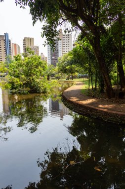 Goiania şehrinde Bosque dos Buritis manzarası.