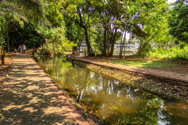 Goiania şehrinde Bosque dos Buritis manzarası.