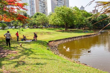 Goinia şehrindeki Flamboyant Park 'ın bir açısında ayrıca Flamboyant (Delonix regia) adı verilen bir ağaç da çiçek açar. Yürüyecek ve dinlenecek bir yer.